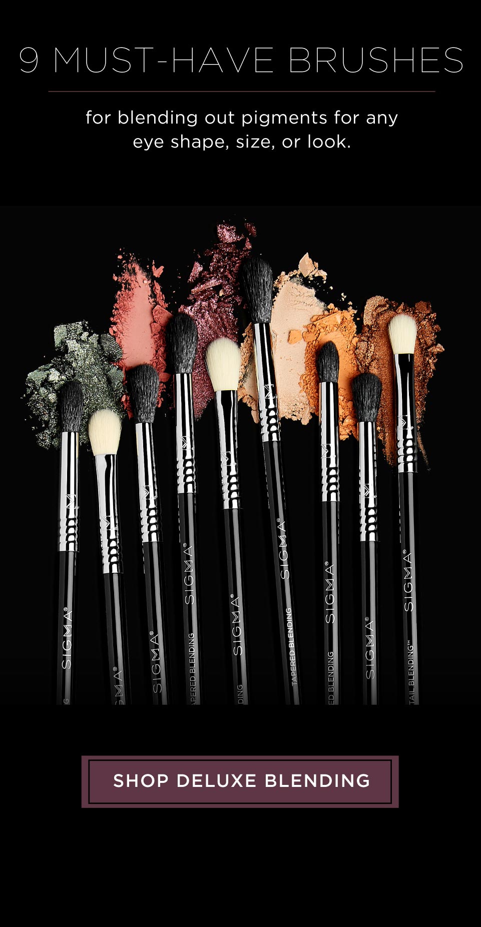 Shop our Deluxe Blending Brushes!