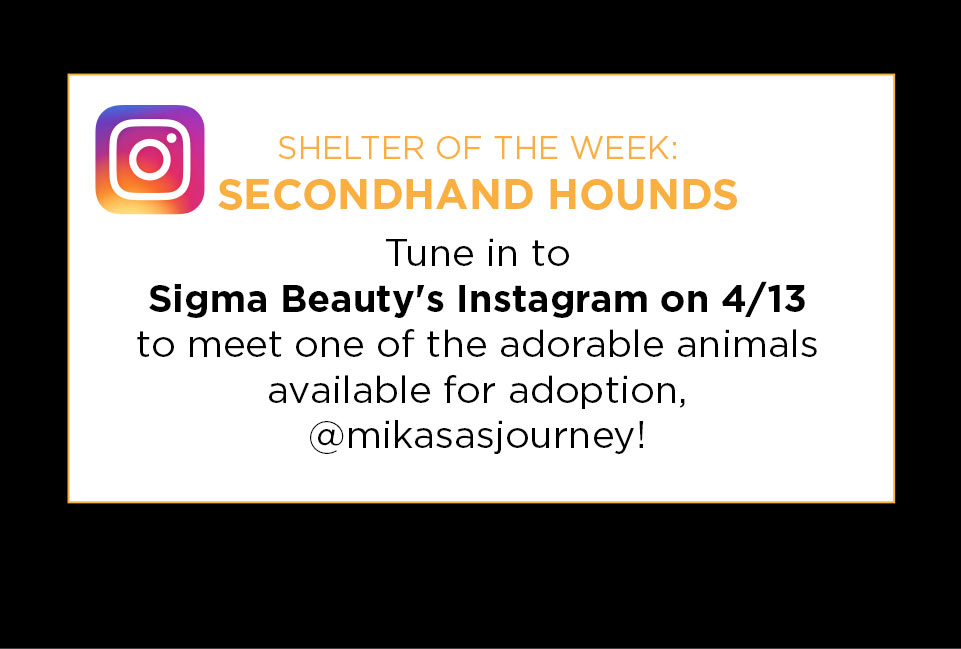 Shelter of the week on Instagram