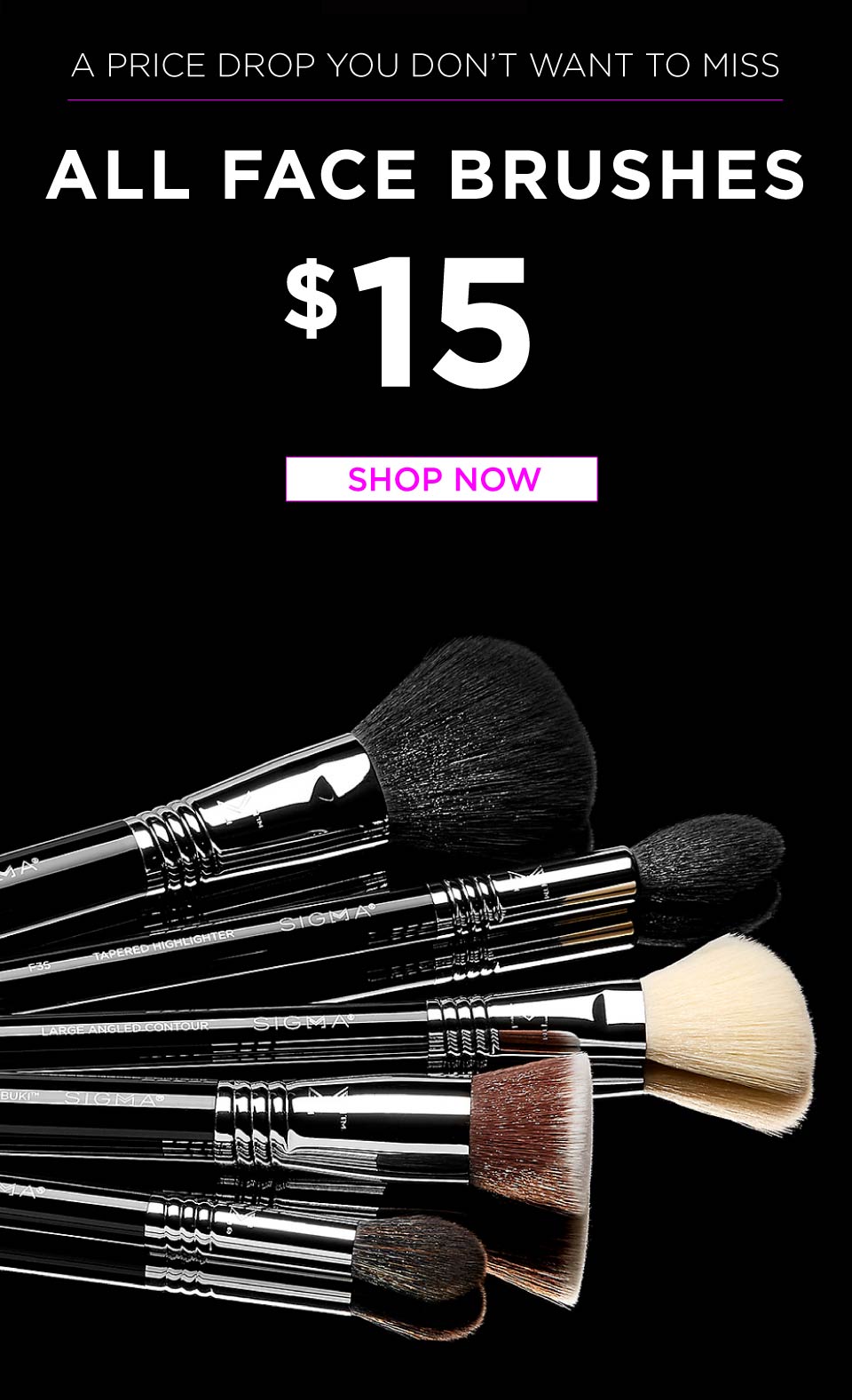 $15 all face brushes