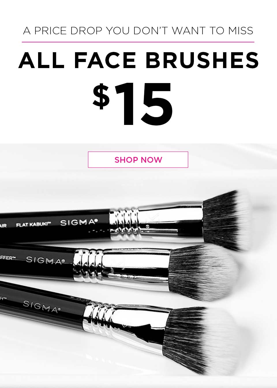 $15 Face Brushes Price Drop