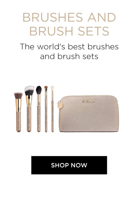 Shop brushes and brush sets