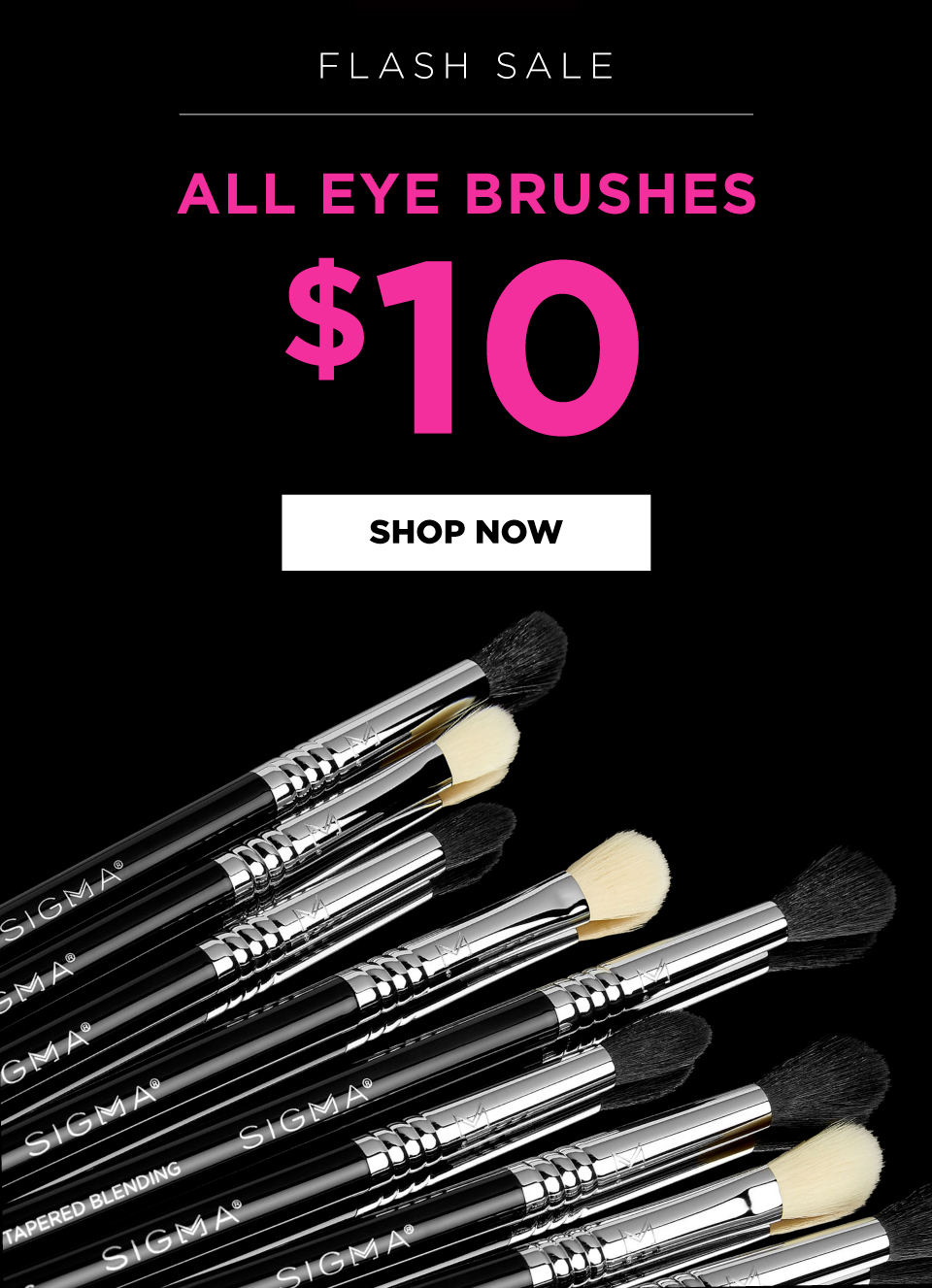 All eye brushes $10