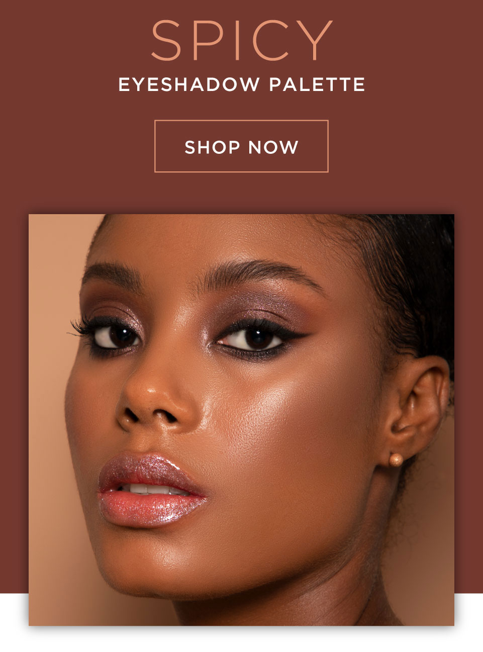 Spicy Eyeshadow Palette