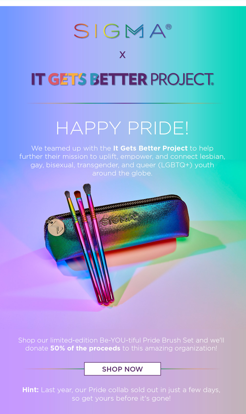 Shop Pride Brush Set Now