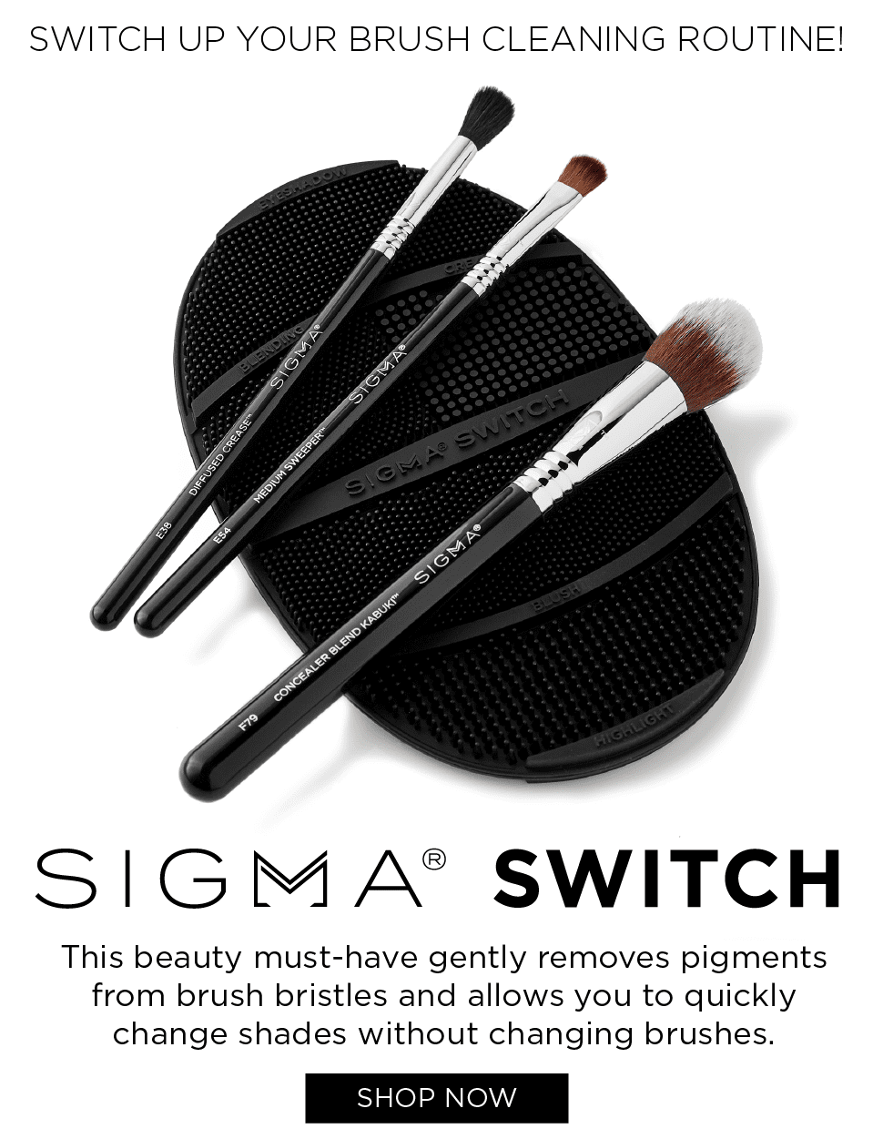 Our Newest Invention - SIGMA SWITCH - Switch shades without switching brushes! - See It In Action