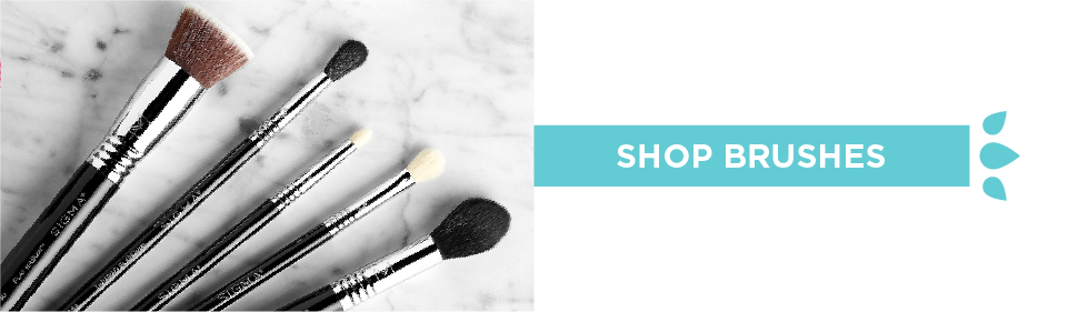 Shop Brushes