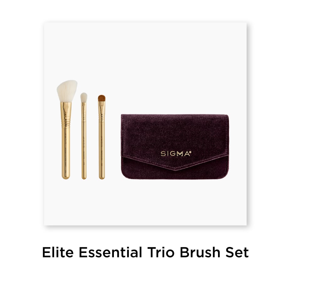 Elite Essential Trio Brush Set