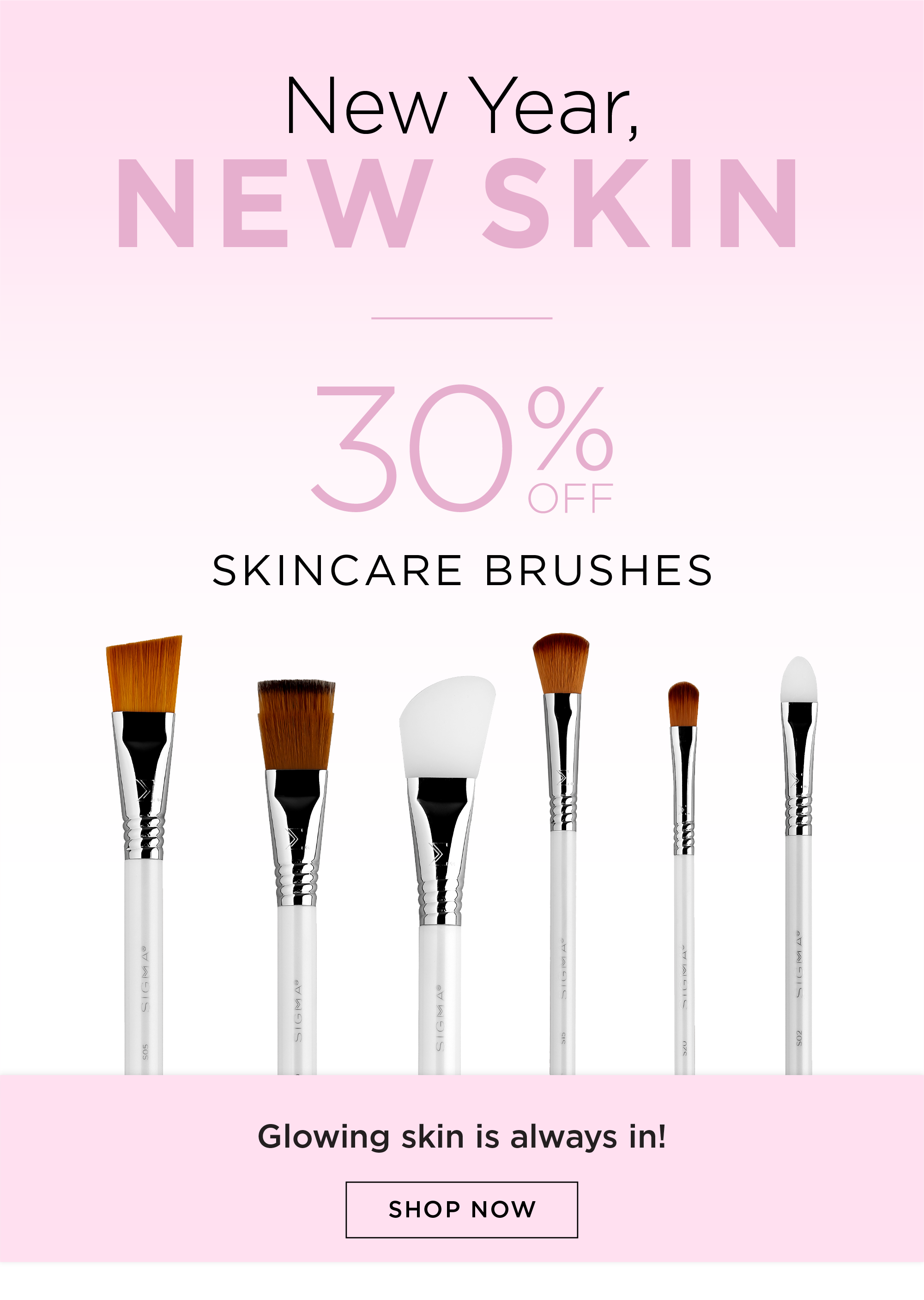 New Year New Skin – 30% Off Skincare Brushes
