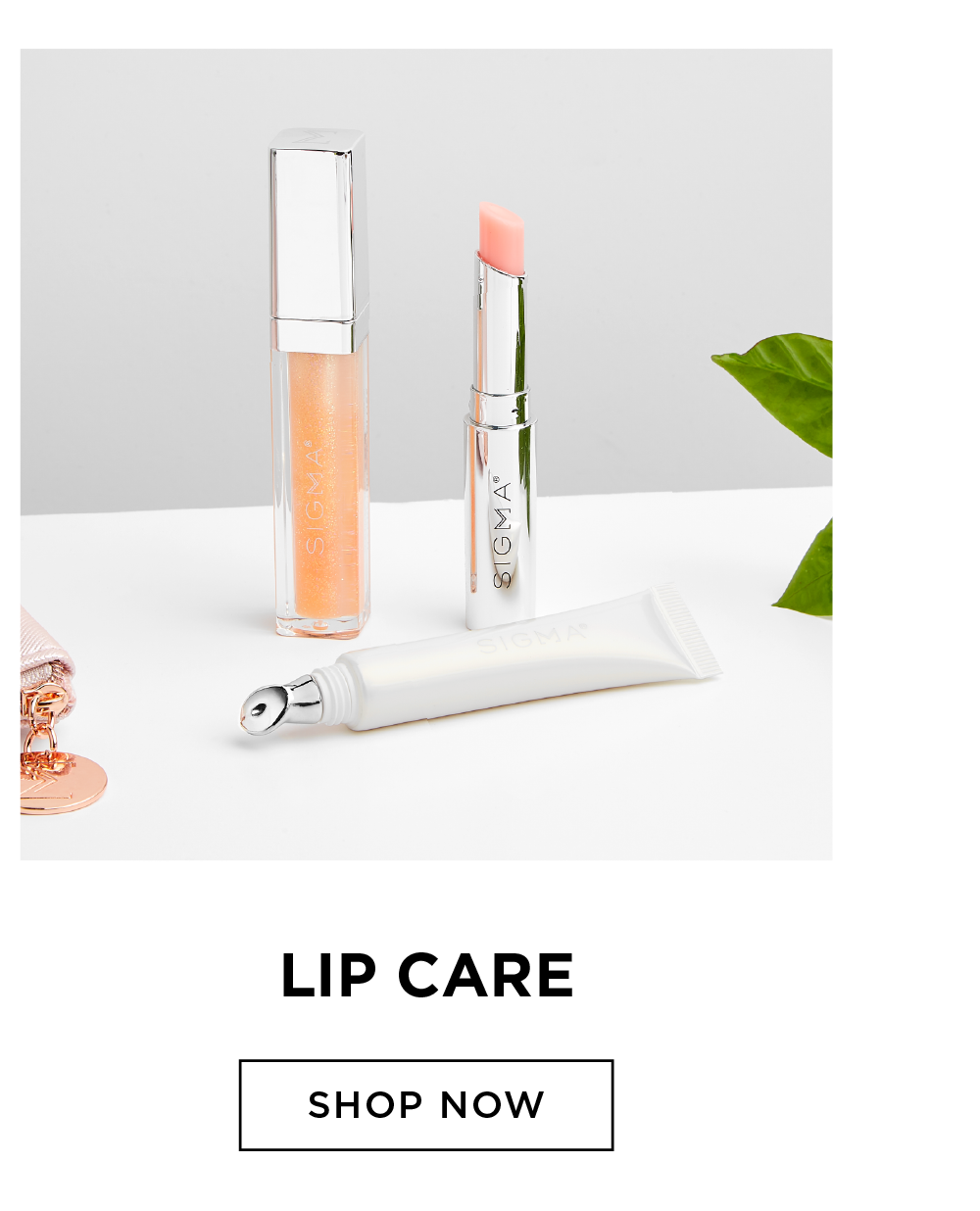 Shop Lip Care