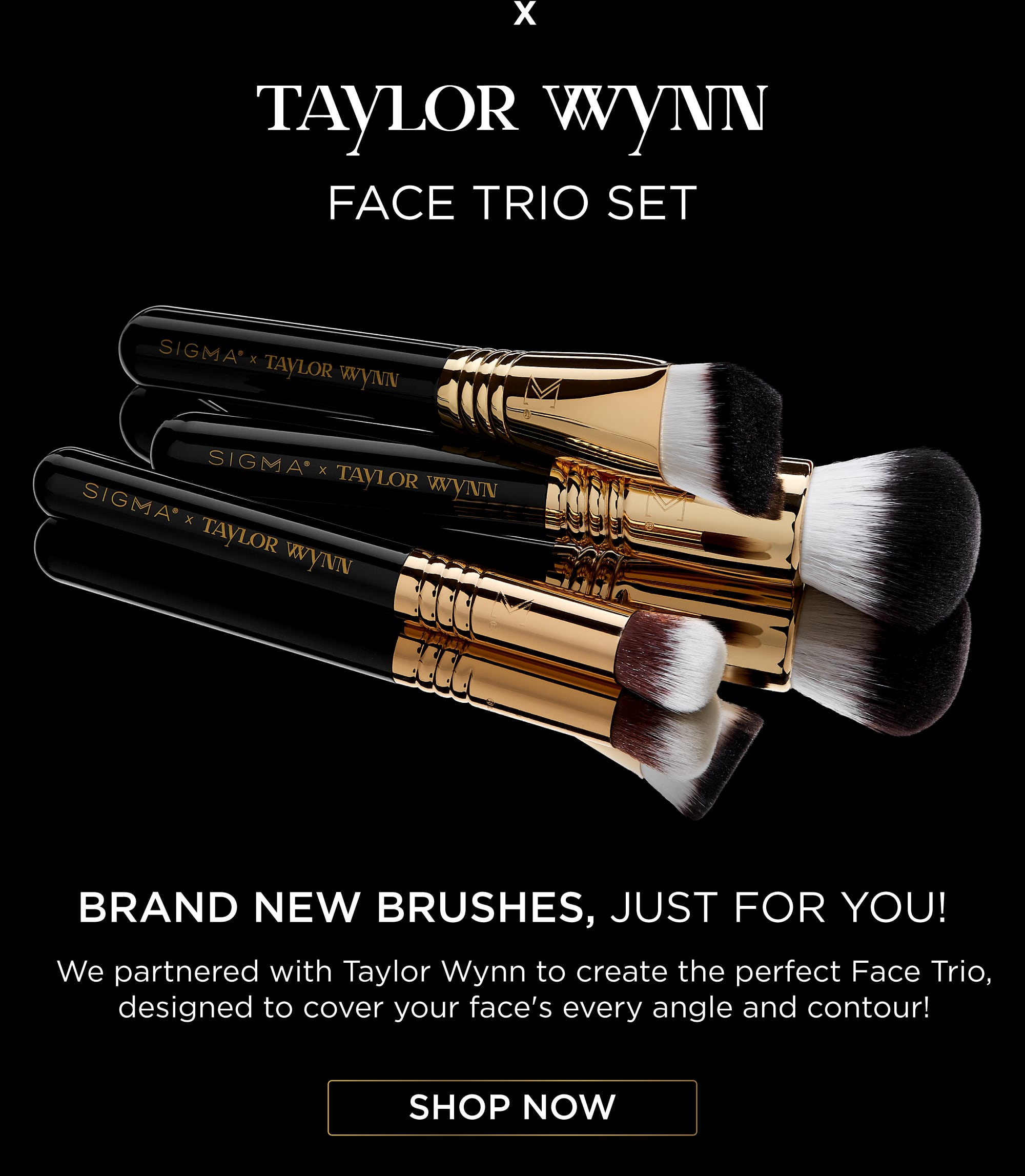 Sigma X Taylor Wynn | Face Trio Set