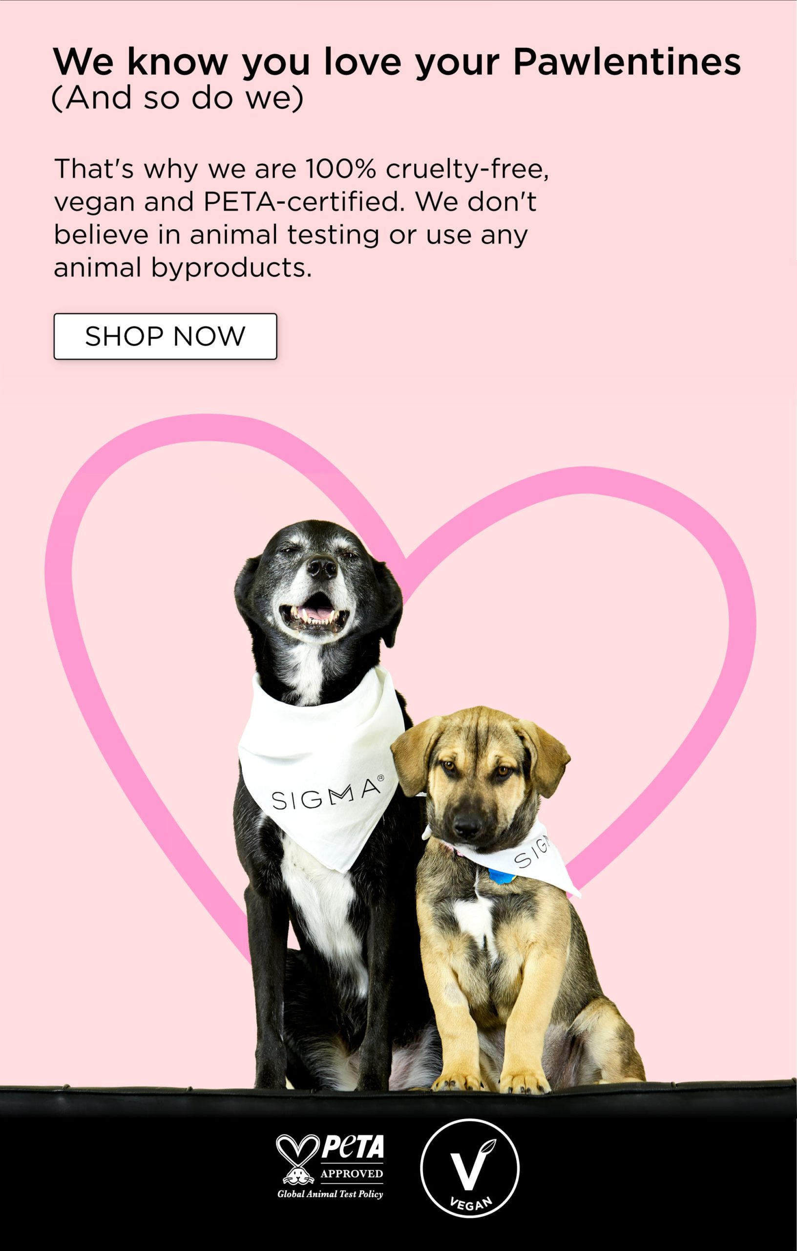 We love our Pawlentines