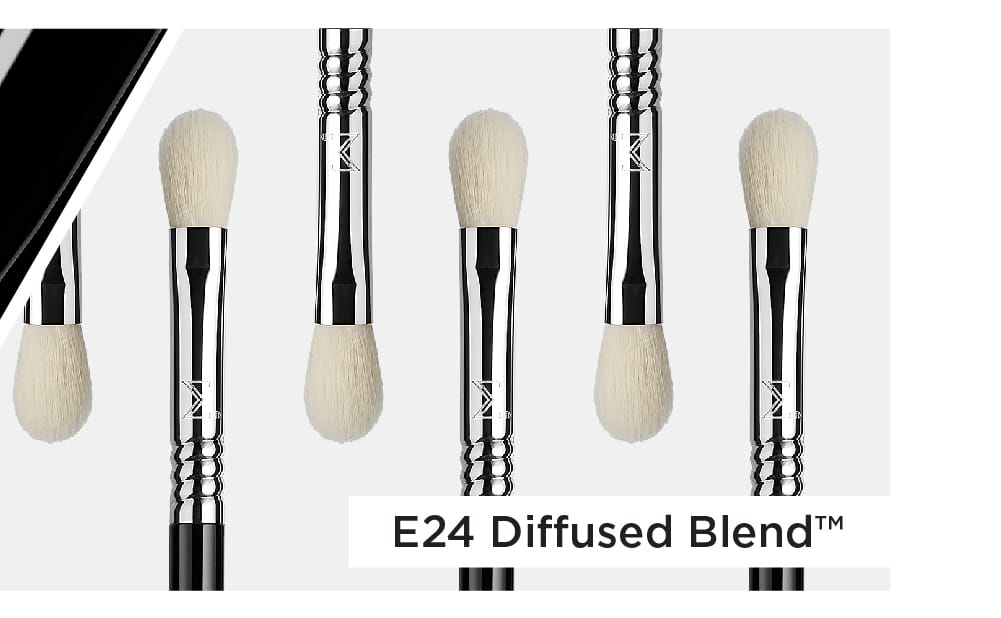 E24 Diffused Blend Brush