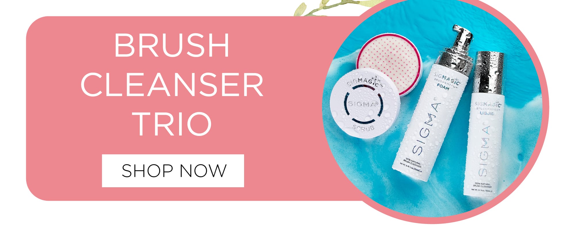 Brush Cleanser Trio