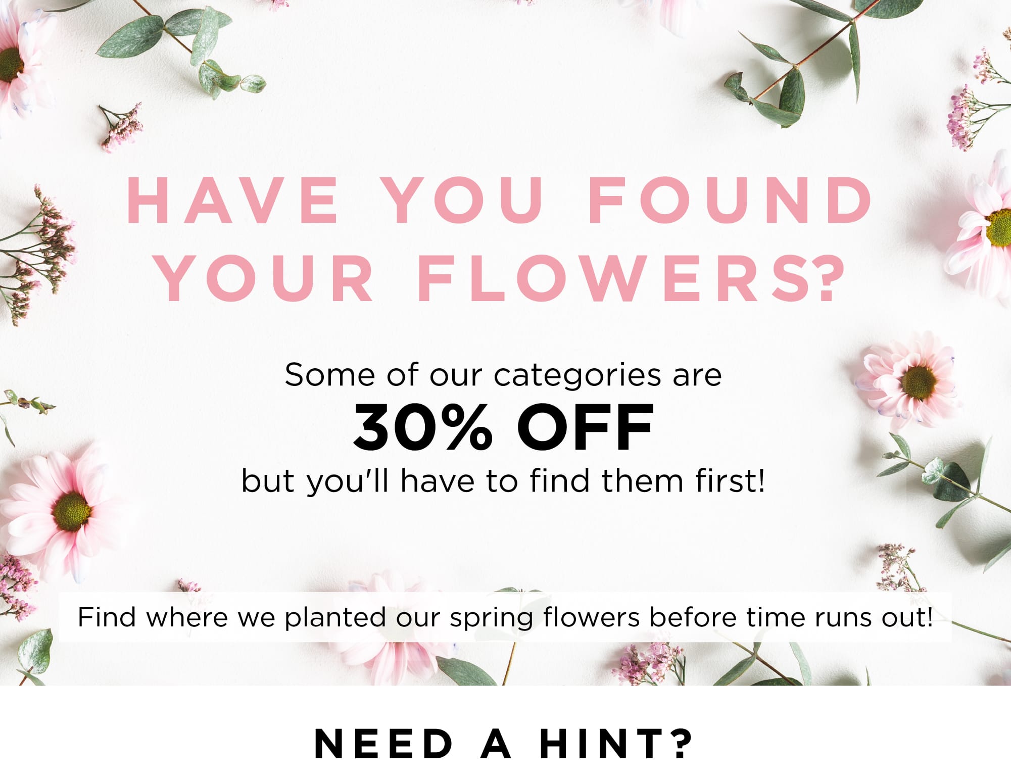 Have you found your flowers yet?