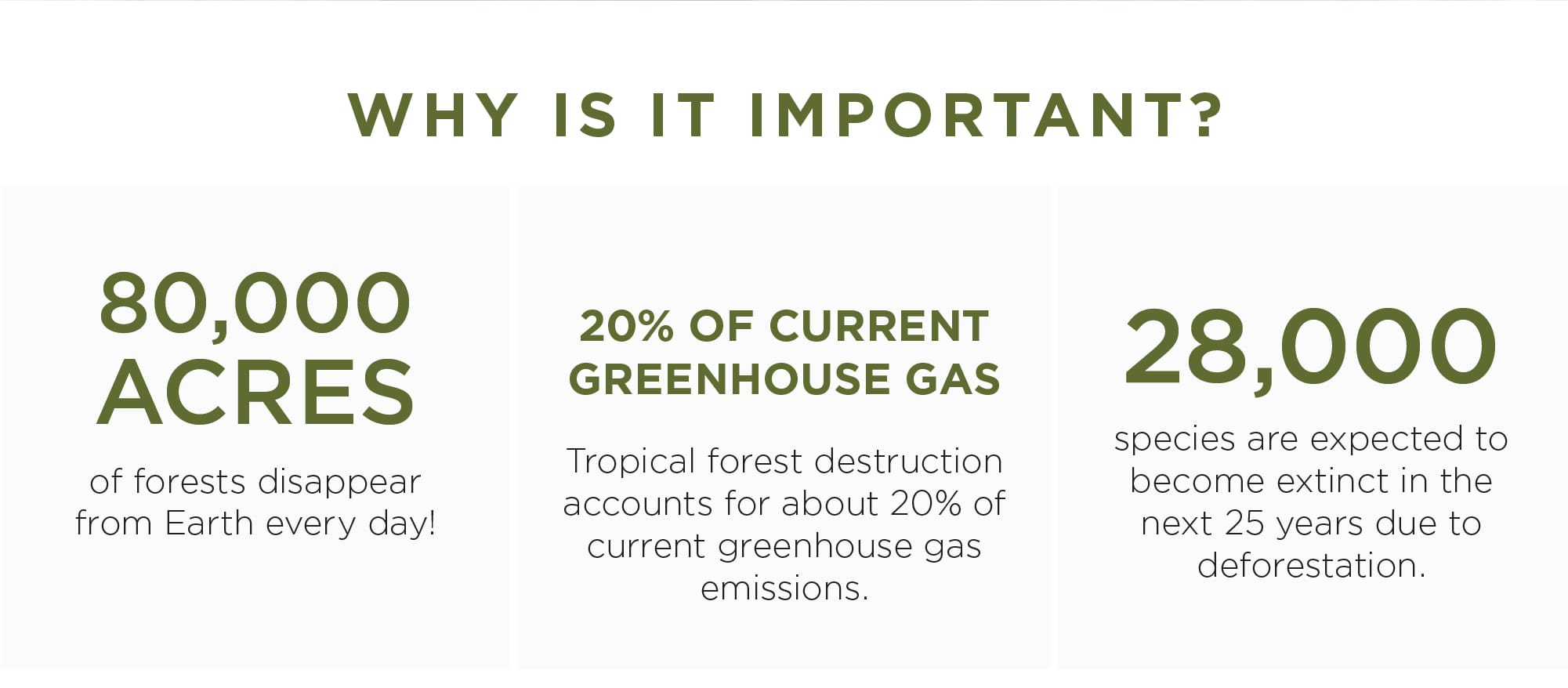Why is it Important?