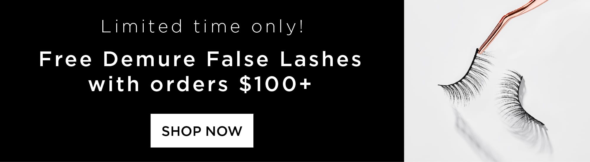 Free False Lashes With $100+