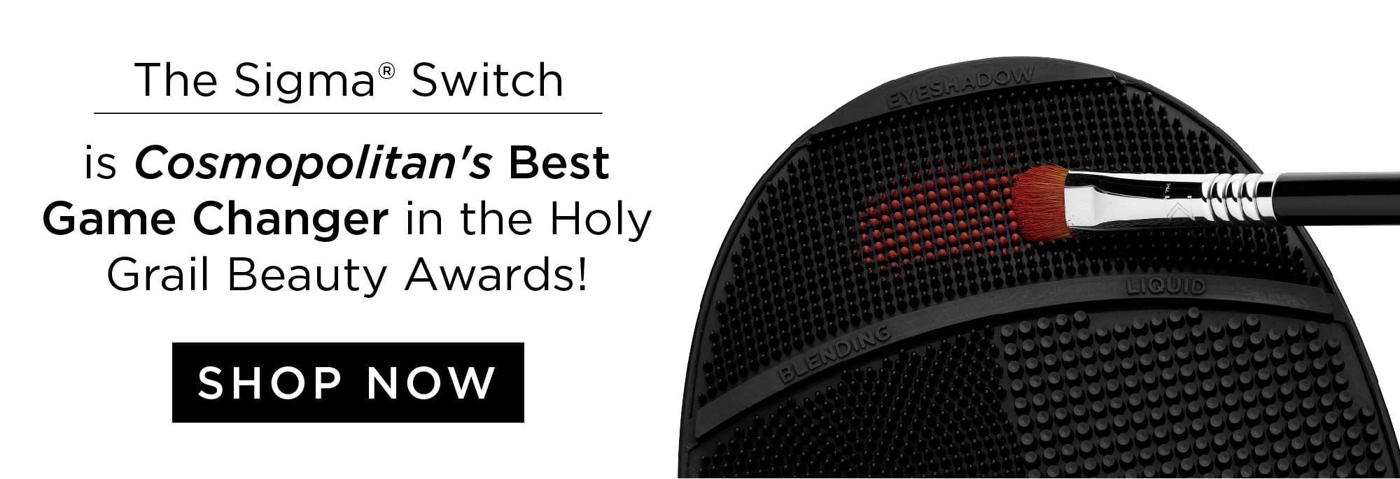 Sigma Switch Holy Grail Award Winner