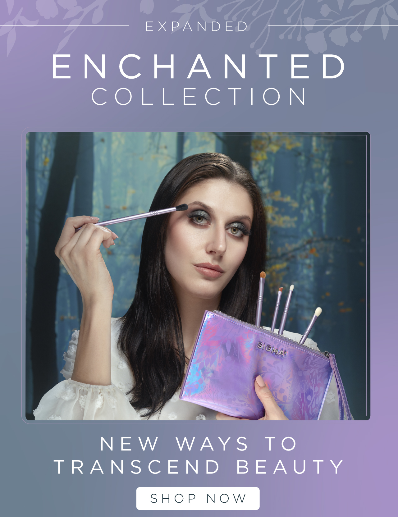 Expanded Enchanted Collection