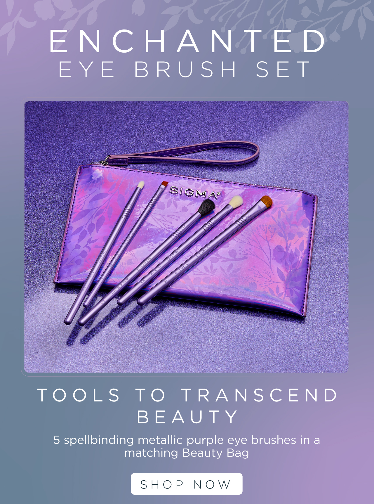 Enchanted Eye Brush Set